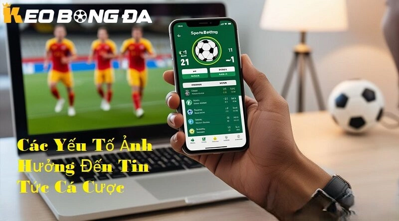 Các yếu tố ảnh hưởng đến tin tức cá cược