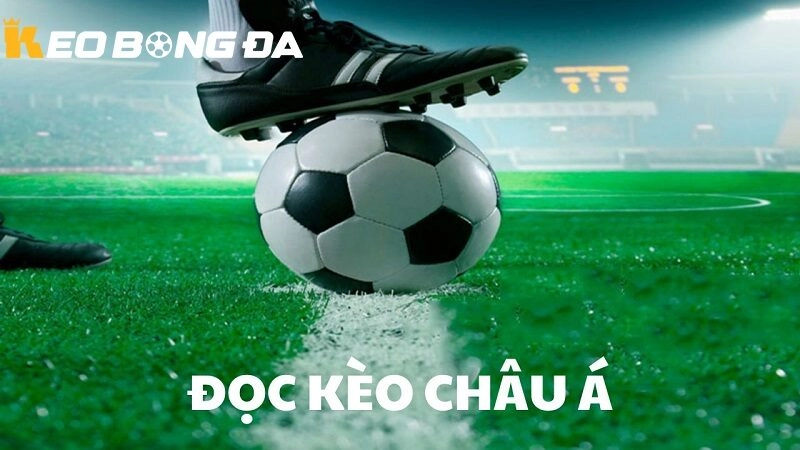 Kinh nghiệm và trải nghiệm từ người chơi trước